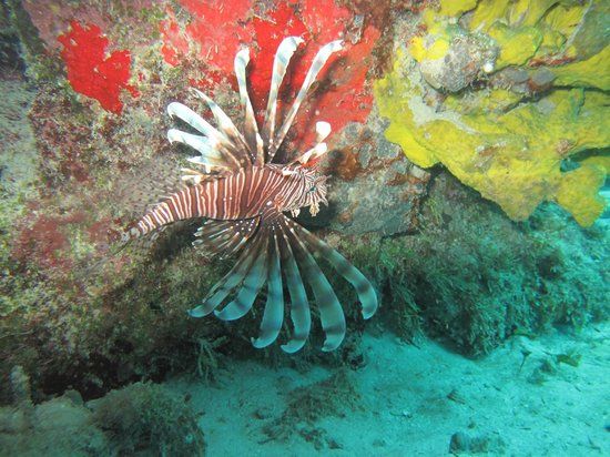 Cha'an Ka'an Planetario